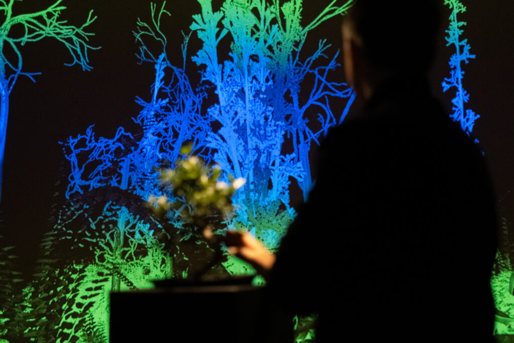 Immersive Ausstellungsansicht mit Lichtprojektionen und Naturmotiven in der Tina Blau Ausstellung im mpk Museum Pfalzgalerie Kaiserslautern, moderne Kunstvermittlung