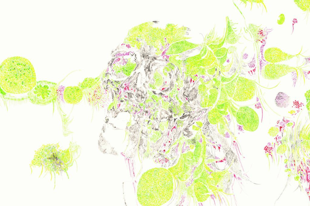 Mensch / Wilde Orchidee / Totenkopf, alle: aus der Serie Verkettungen (10 Zeichnungen) 2024, Aquarell auf Papier, 80 x 70 cm
