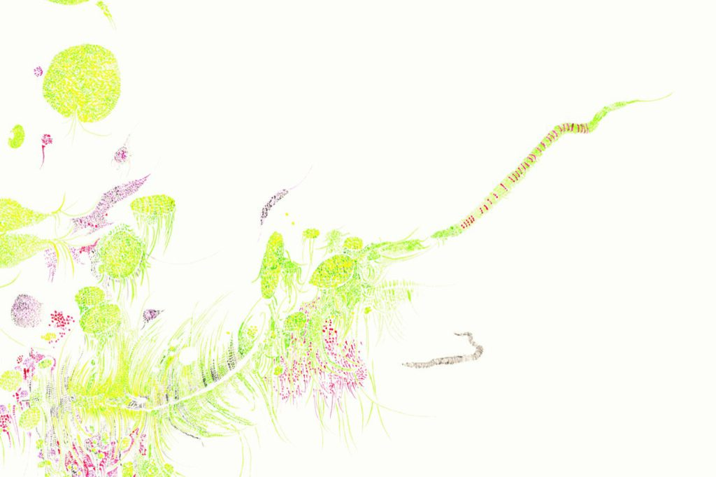 Mensch / Wilde Orchidee / Totenkopf, alle: aus der Serie Verkettungen (10 Zeichnungen) 2024, Aquarell auf Papier, 80 x 70 cm
