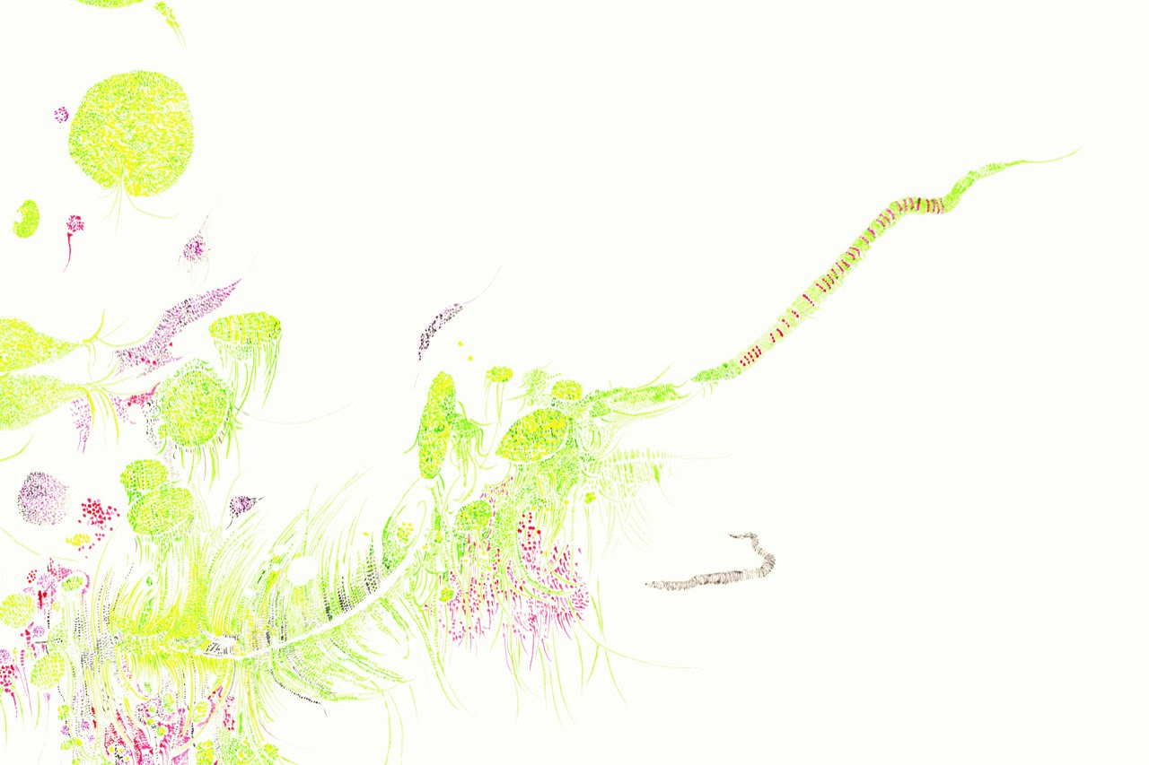 Oberkofler 2 Mensch / Wilde Orchidee / Totenkopf, alle: aus der Serie Verkettungen (10 Zeichnungen) 2024, Aquarell auf Papier, 80 x 70 cm