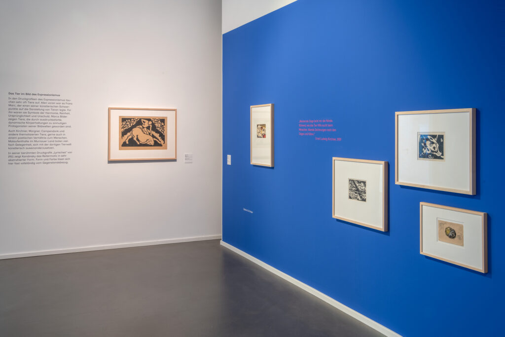 Modern gestalteter Ausstellungsraum mit blauen Wänden und grafischen Arbeiten in „Unerhört Expressiv!“ im mpk Museum Pfalzgalerie Kaiserslautern – ein Ort, an dem Kunstgeschichte lebendig wird.